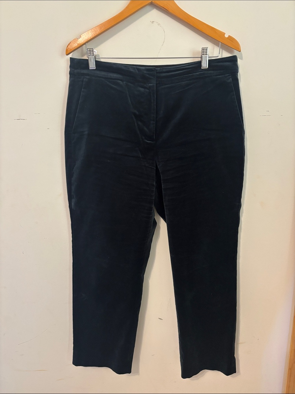 J.Crew Velvet Women’s Pants